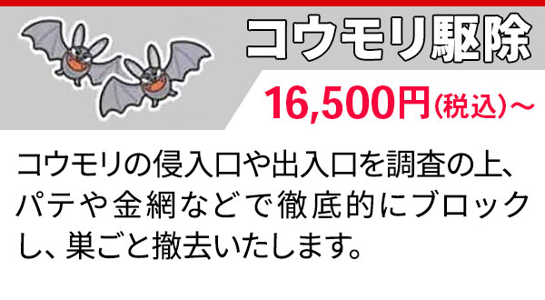 コウモリ駆除