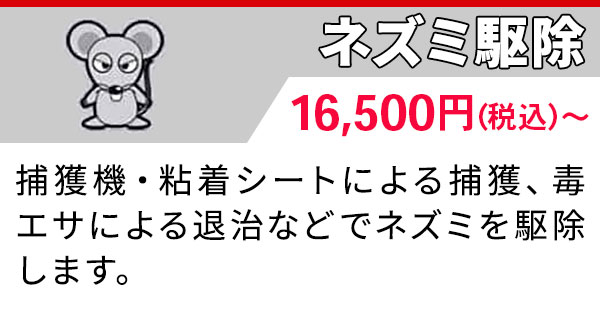 ネズミ駆除