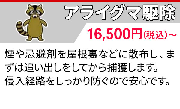 アライグマ駆除