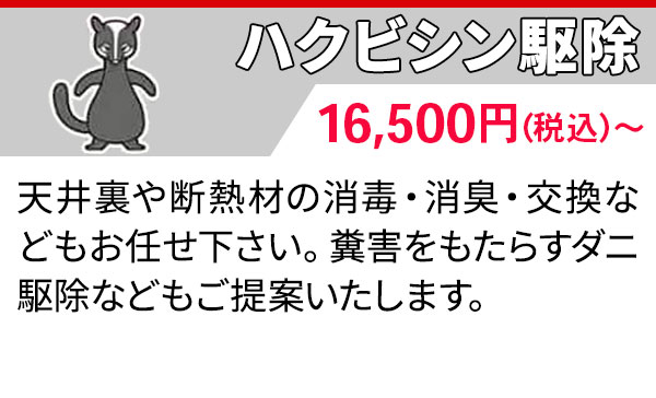 ハクビシン駆除